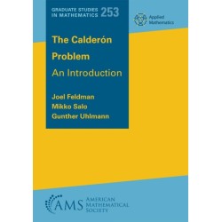 The Calderon Problem: An Introduction