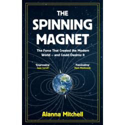 The Spinning Magnet: The Force That Created the Modern World – and Could Destroy It