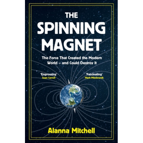The Spinning Magnet: The Force That Created the Modern World – and Could Destroy It