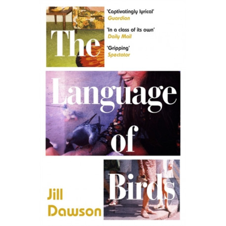 The Language of Birds: the novel inspired by the Lord Lucan affair