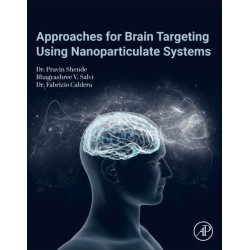 Approaches for Brain Targeting Using Nanoparticulate Systems