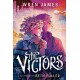 The Victors: He saved the world – now he has to live in it: a funny, moving enemies-to-friends graphic novel about The Chosen One finding purpose after the final battle
