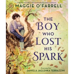 The Boy Who Lost His Spark: A magical book and a new modern classic for children aged 5, 6, 7, 8 from the award-winning author of HAMNET, about moving house, managing big feelings and discovering your spark