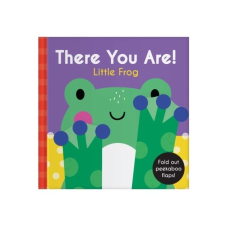 There You Are: Little Frog
