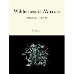 Wilderness of Mirrors