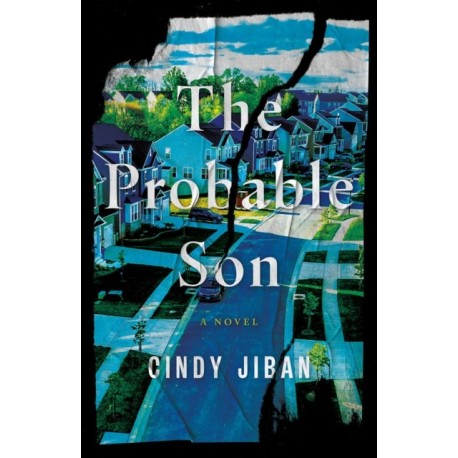 The Probable Son: A Novel
