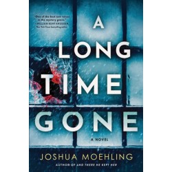 A Long Time Gone: A Novel