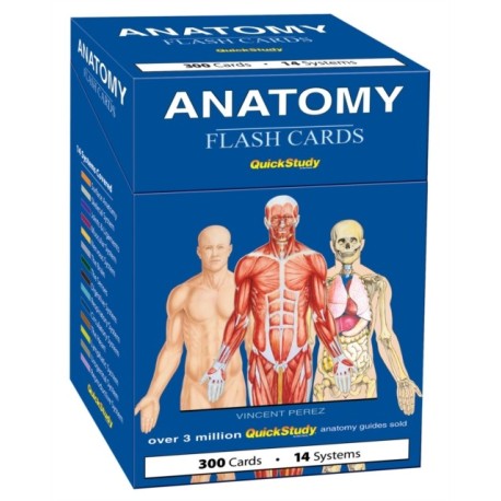 Anatomy Flash Cards (300 Cards)