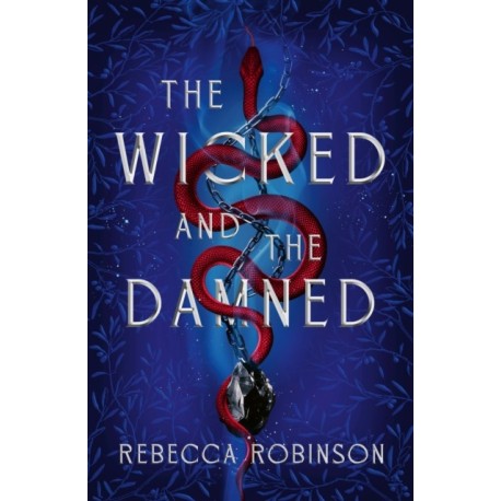 The Wicked and the Damned: The heart-racing romantasy sequel of two soulmates in the race to reunite