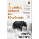 A Training School for Elephants