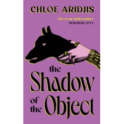 The Shadow of the Object