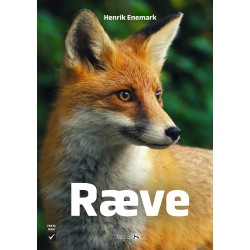 Ræve