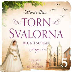 Regn i slöjan