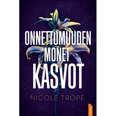 Onnettomuuden monet kasvot