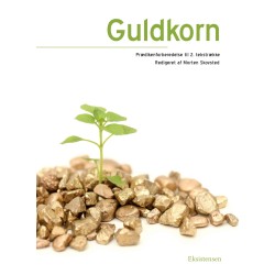Guldkorn II: Prædikenforberedelse til 2. tekstrække