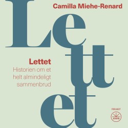 Lettet: Historien om et helt almindeligt sammenbrud