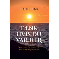 Tænk hvis du var her: Fortællinger fra livet og den hjemløse kærligheds have
