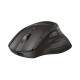 HP Ultra-Fast-Scroll Wireless Mouse 785M, Black