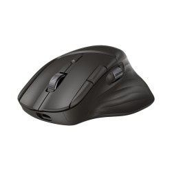 HP Ultra-Fast-Scroll Wireless Mouse 785M, Black