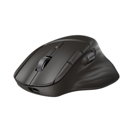 HP Ultra-Fast-Scroll Wireless Mouse 785M, Black