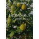 Højsangen: At løbe med Jesus