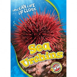 Sea Urchins