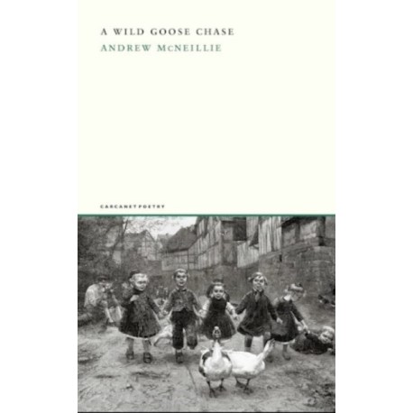 A Wild Goose Chase