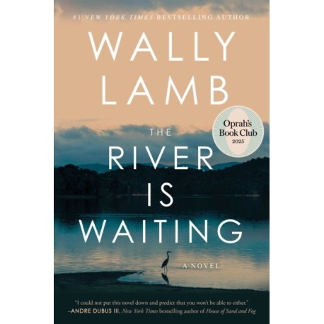 The River Is Waiting (Oprah's Book Club): A Novel
