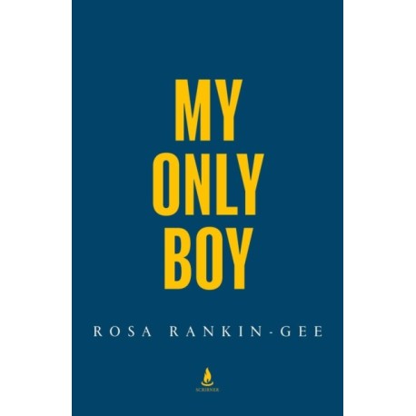 My Only Boy: The unforgettable love story and state-of-the-nation thriller from the author of Dreamland