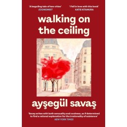 Walking on the Ceiling