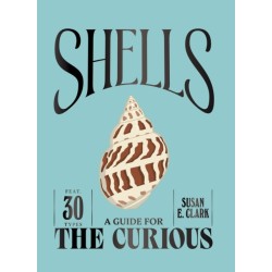 Shells