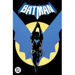 Batman Vol. 1: Daylight