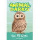 Animal Ark, New 12: Owl All Alone: Book 12