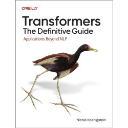 Transformers: The Definitive Guide: Applications Beyond NLP