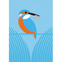 I Like Birds: River, Estuary & Shore: Boxed Set of 3 Bird-Themed Journals