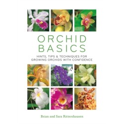 Orchid Basics
