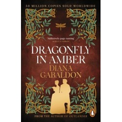 Dragonfly in Amber
