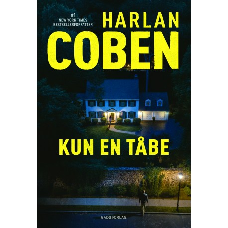 Kun en tåbe