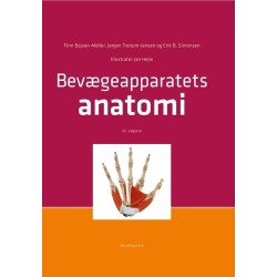 Bevægeapparatets anatomi