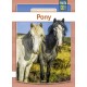 Pony