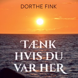 Tænk hvis du var her: Fortællinger fra livet og den hjemløse kærligheds have