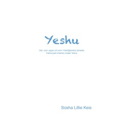 YESHU: Han, som opgav sit navn i Kærlighedens tjeneste. Clairvoyant shaman møder Yeshu