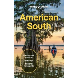 America's South