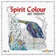 Spirit Colour: Art Therapy Vol. II