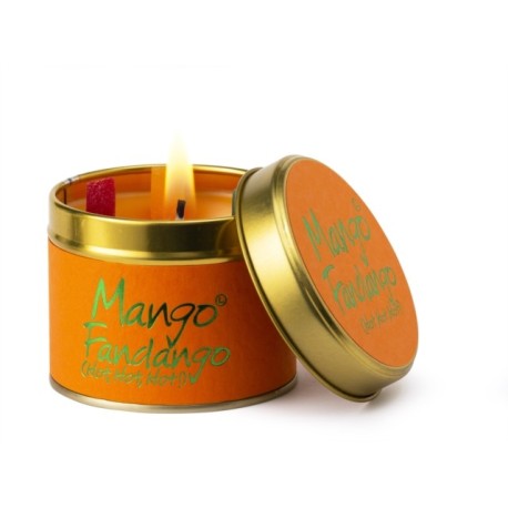 Mango Fandango  - Scented Tin Candle