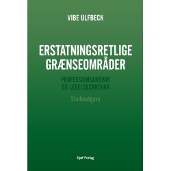 Erstatningsretlige grænseområder: – Professionsansvar og ledelsesansvar