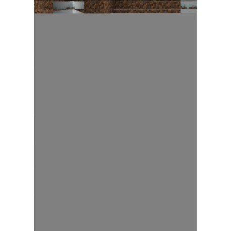 Læs & spil – Sådan bliver du sej til Minecraft