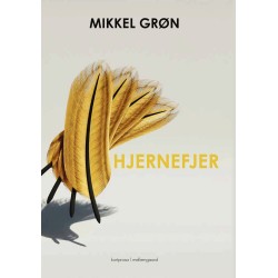 HJERNEFJER