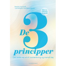 De 3 principper: Den enkle vej ud af overtænkning og mental støj