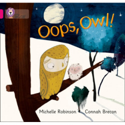 Oops, Owl!: Band 01a/Pink a